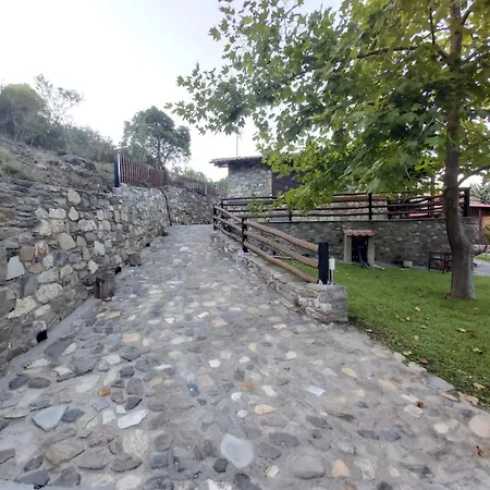 Dimitris' - 1 * 奥马斯帕纳吉亚斯