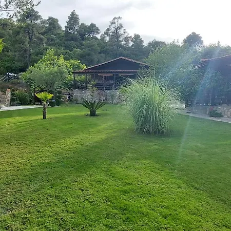 Dimitris' - 1 * 奥马斯帕纳吉亚斯