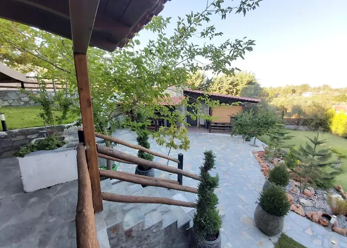 Dimitris' - 1 オルモス・パナギアス