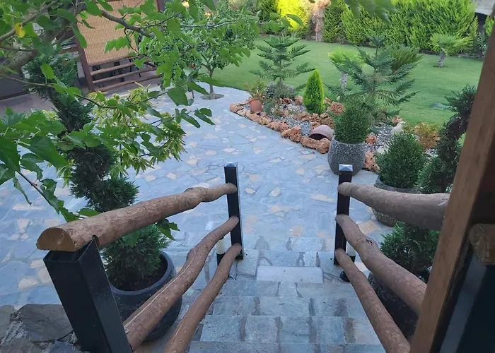 Dimitris' - 1 * オルモス・パナギアス