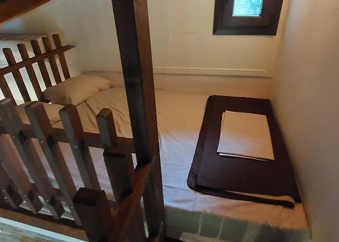 Dimitris' - 1 奥马斯帕纳吉亚斯