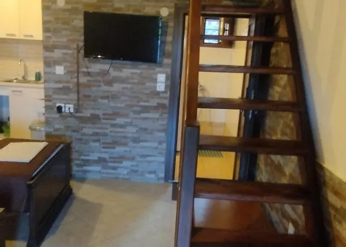 Dimitris' - 1 奥马斯帕纳吉亚斯