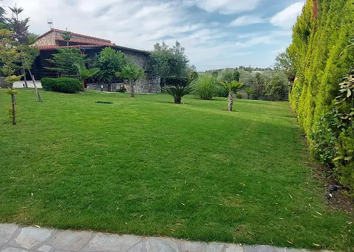 Dimitris' - 1 オルモス・パナギアス