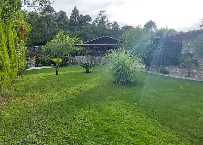 Dimitris' - 1 * オルモス・パナギアス