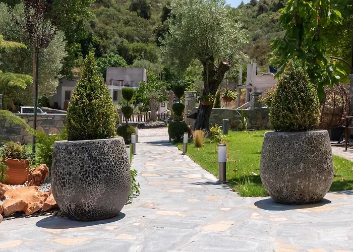 Dimitris' - 1 奥马斯帕纳吉亚斯